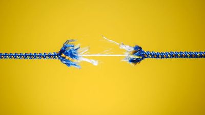 The Newest Trait Investors Love In Tech Stocks? No Profit