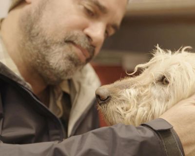 Dogspiracy review – sincerity of activists is palpable in film that takes aim at puppy farming