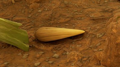 How to find Grass Seeds in Grounded 2