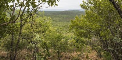 Land reform in South Africa: how one community set up a successful game reserve