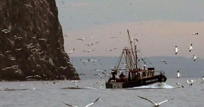 Fishing vessel damages subsea cable leaving 10,000 without broadband