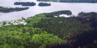 Ontario’s forest management is falling short on key sustainability test