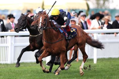 Today’s Horse Racing Results