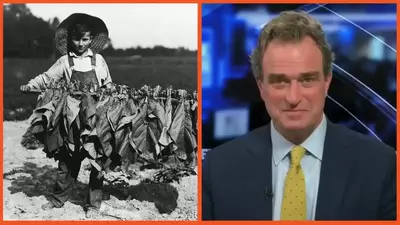 ‘Allow children to do it!’: Fox host advocates for child labor over immigrant labor