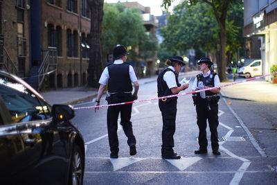 Two men who died after stabbing in central London named as father and son