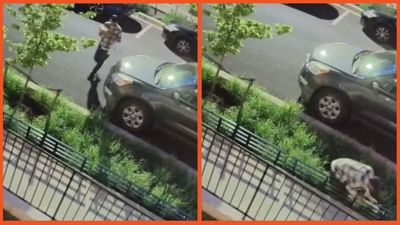 ‘Uber tried suing me’: Delivery driver sues man after falling while bringing his food but man has video evidence proving he’s not at fault