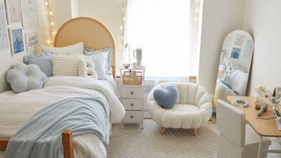 How to keep pests out of your dorm room – 7 prevention tips every student should study before the start of the semester
