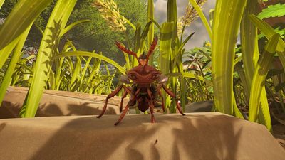 Where to find grass seeds in Grounded 2