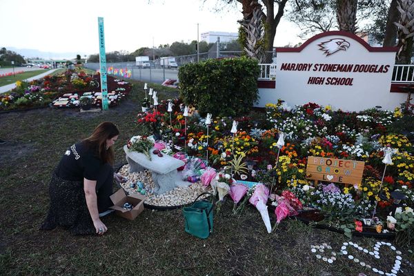Schools could soon deploy a ‘campus guardian angel’ drone defense system against shootings