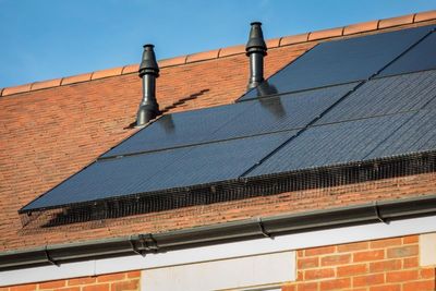 SunPower Maxeon 7 solar panel review: best for longevity