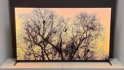 If you have deep pockets, this five-star, money no object, OLED TV is the one to get