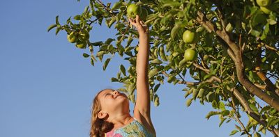 Should I limit how much fruit my child eats because it contains sugar?