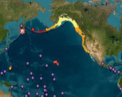 Pacific tsunami alerts: what we know so far about the warnings stretching from Japan to the US