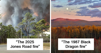25 Of The Most Catastrophic Wildfires In Recent History