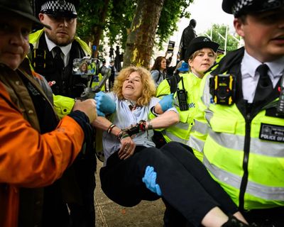 I went out to challenge the law used to ban Palestine Action. Would I be arrested too?