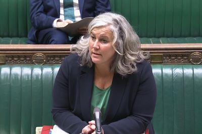Minister ties herself in knots over conditions for recognition of Palestine
