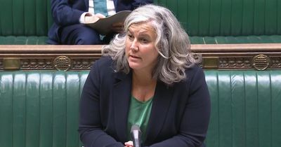 Labour minister doubles down on 'Nigel Farage on Jimmy Savile's side' claim