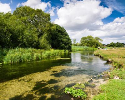Council recognises right of River Test to flow unimpeded and unpolluted