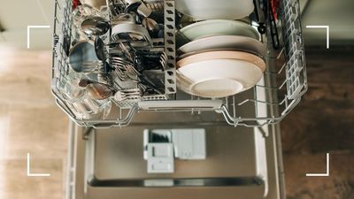 How often should you clean a dishwasher? We asked appliance and cleaning experts for the answer
