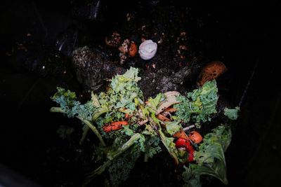 Composting helps the planet. This is how to do it, no matter where you live