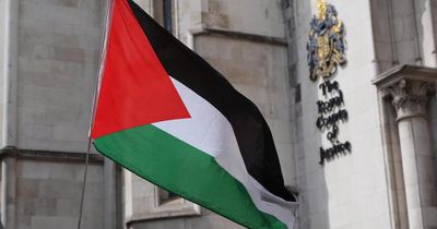 Palestine Action gets green light for ban challenge