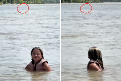 Terrifying video shows moments giant alligator swims up behind 12-year-old wakeboarder in Texas