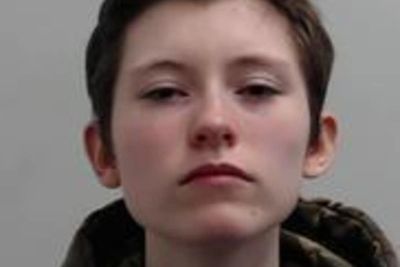 Teenager jailed for school shooting fantasy inspired by Columbine massacre
