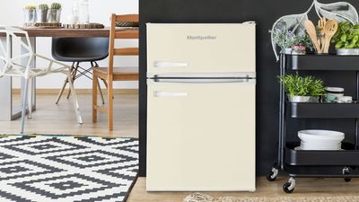 I never expected to fall in love with a tiny fridge, but here we are