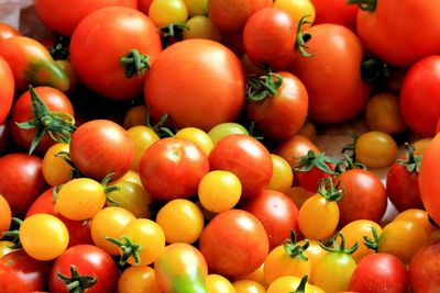 5 Things You’re Refrigerating That Should Stay in the Pantry