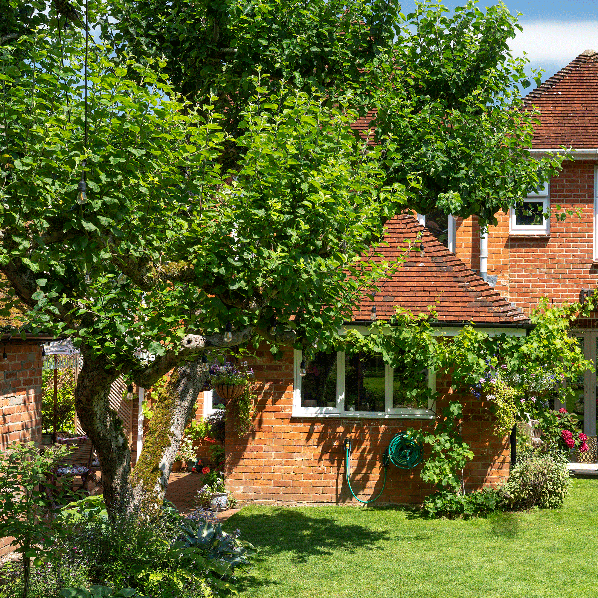 Can I cut the roots of my neighbour's tree if they're in my garden? I asked a legal and environmental expert to find out