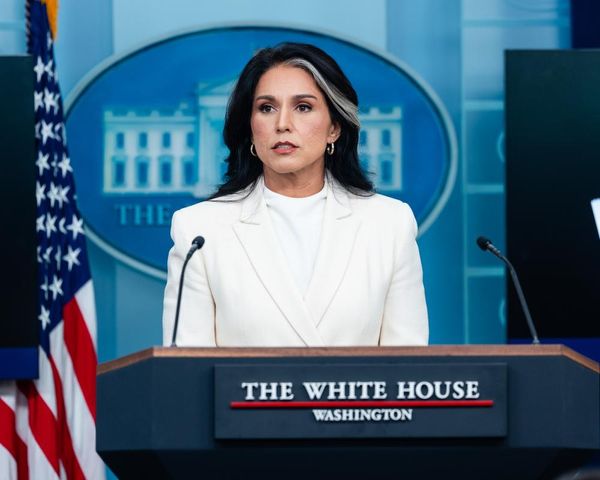 Ex-CIA agent hits back at Tulsi Gabbard after she accused Obama of ‘treasonous conspiracy’ against Trump