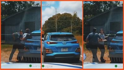 ‘Yall know what she did!’: Police officer arrests woman for speeding to get help for dying dog and internet seeks justice