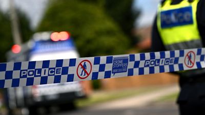 Cops shoot brother dead after alleged attack on sister