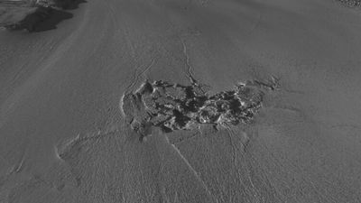 'It was so unexpected': 90 billion liters of meltwater punched its way through Greenland ice sheet in never-before-seen melting event
