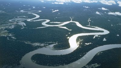 Even a slight slowdown of key Atlantic currents poses a 'stunning risk' to rainforests