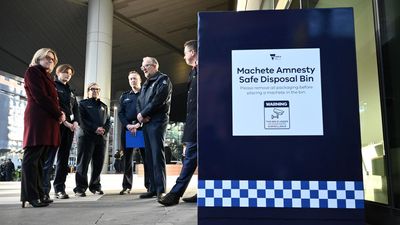 Campaign to bin blades in three-month machete amnesty