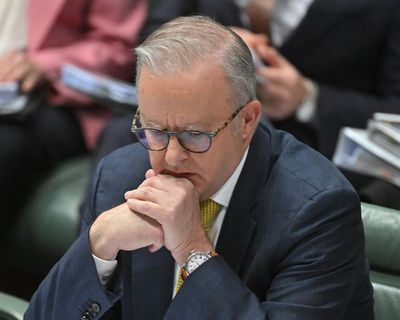 ‘Action, not slogans’: Albanese dismisses pressure from Labor MPs to toughen Israel stance