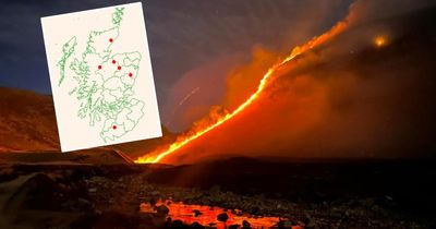 All the wildfire hotspots threatening Scottish woodlands in 2025