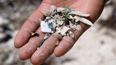 Microplastics pose invisible danger, study reveals