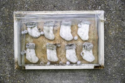 Two boys stumbled across ‘a jumble of bones’ at a derelict baby home. Their discovery will haunt Ireland forever