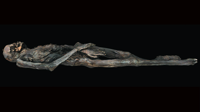 2,300-year-old arm tats on mummified woman reveal new insights about tattooing technique in ancient Siberia