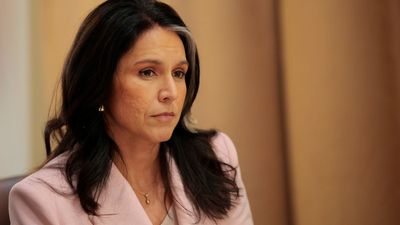 ‘Has she ever met a Russian agent?’: Ex-CIA counterintelligence chief blasts Tulsi Gabbard’s ‘treasonous conspiracy’ claims