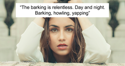 Hey Pandas, AITA For Telling My Neighbor To “Shut The F**k Up” After Years Of Nonstop Dog Barking?