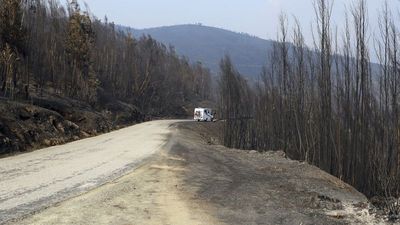 Portugal’s burned land triples compared to last year amid intensifying wildfires