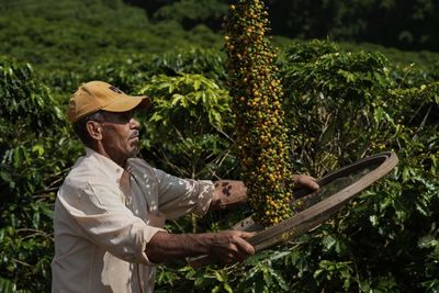 From coffee to orange juice, here are the products that will be hit hardest by Trump’s tariffs