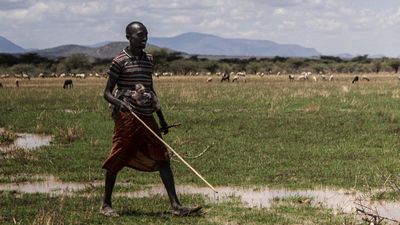 Indigenous Kenyans forced off ancestral lands in name of conservation: NGOs