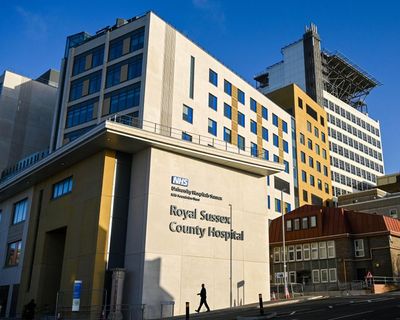 Staff fear to speak up at NHS hospital trust under police investigation, report says