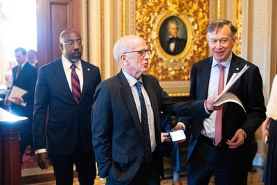 Appeals court hears tariff challenge - Roll Call