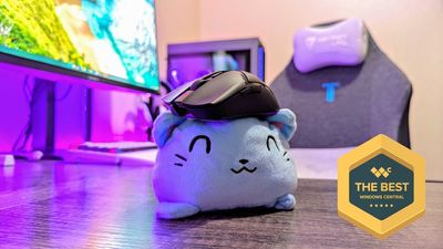 This is supposed to be the best gaming mouse for $100 — I don't know about that, but it is really good