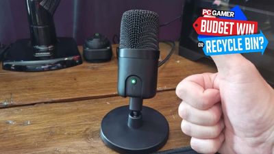 I think this $23 Amazon Basics USB desktop microphone should make more expensive models a little nervous